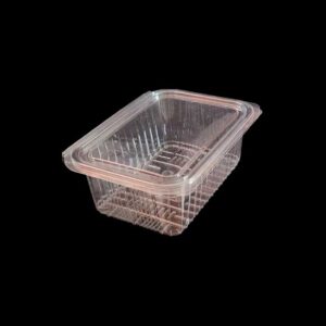 1000CC Clear Hinged Container XPRO - 20 pieces